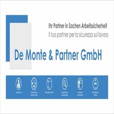 DeMonte - Partner